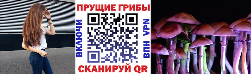 Галлюциногенные грибы мицелий  где купить наркоту  Рудня 