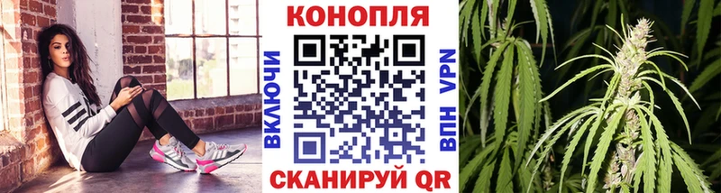 Канабис планчик  Рудня 
